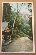 VINTAGE UNUSED .01 POSTCARD COLD SPRING, DIXVILLE NOTCH, N.H.