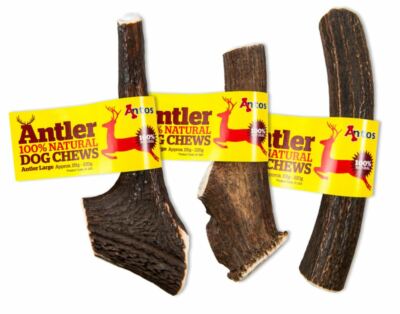 antler dog chews