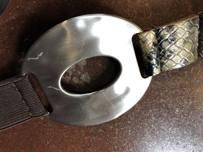Chicos Silver Metal Disk Small Snake Print Belt | eBay display picture 1