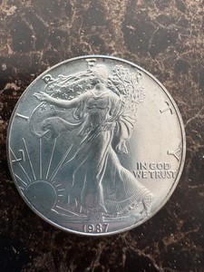 1987 Walking Liberty Silver Dollar | eBay