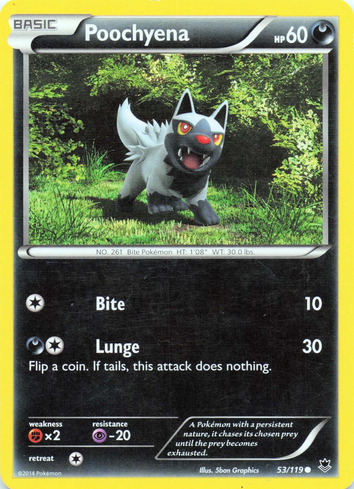 Poochyena 53/119 XY - Phantom Forces  - LP