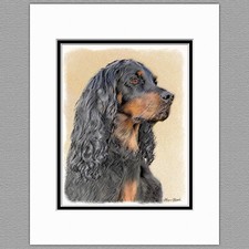 Gordon Setter Dog Original Art Print 8x10 Matted to 11x14