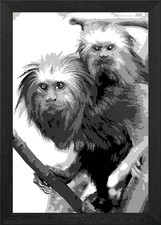 golden lion tamarin v13 Framed Wall Art Poster Canvas Print Picture
