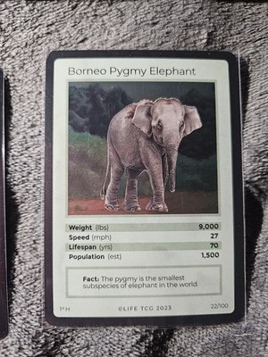 LIFE TCG Mammals 1 Edition - Holo Borneo Pygmy Elephant 22/100 Pop. 1500