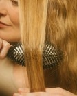 Bild 7 von 7