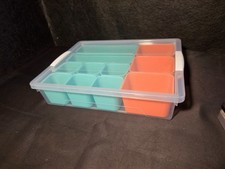 Large Plastic Storage Box with Removable Tray Caddy Clear Art Supply Organizer