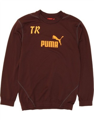 Puma Herren Graphic Sweatshirt Pullover Small Maroon DA11