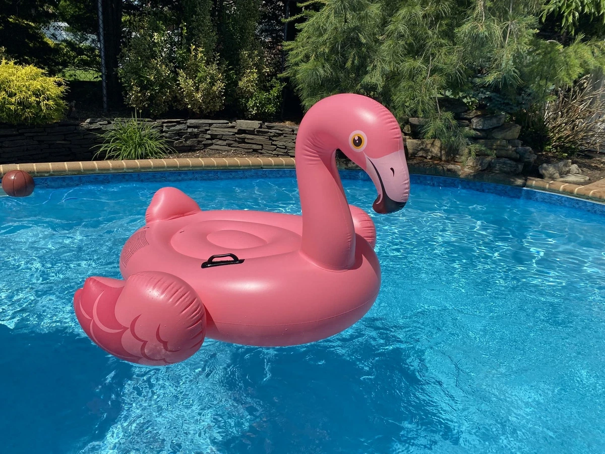 Intex Flamingo Inflatable Ride On 56