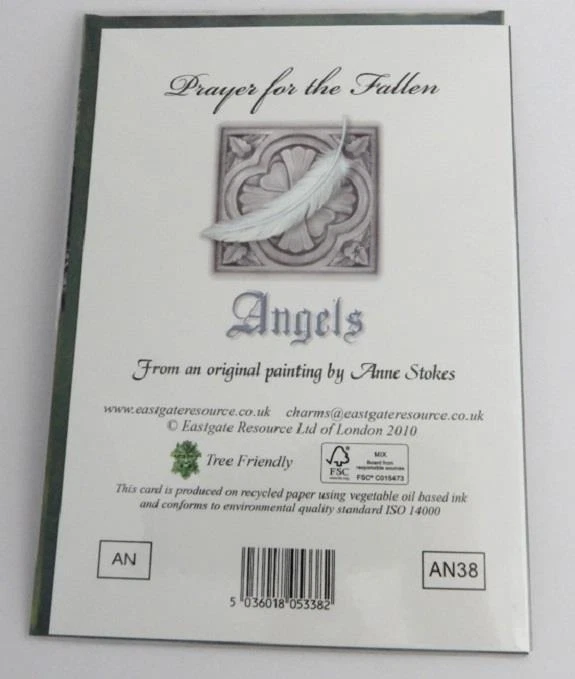 Tarjeta de felicitación de oración por los caídos de Anne Stokes Angels and Fairies Range Foto 4 de 4