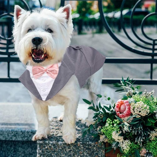 Dog Tuxedo - Formal Dog Outfit with Bow Tie Wedding Bandana Set Grey 2XL - Picture 4 of 6