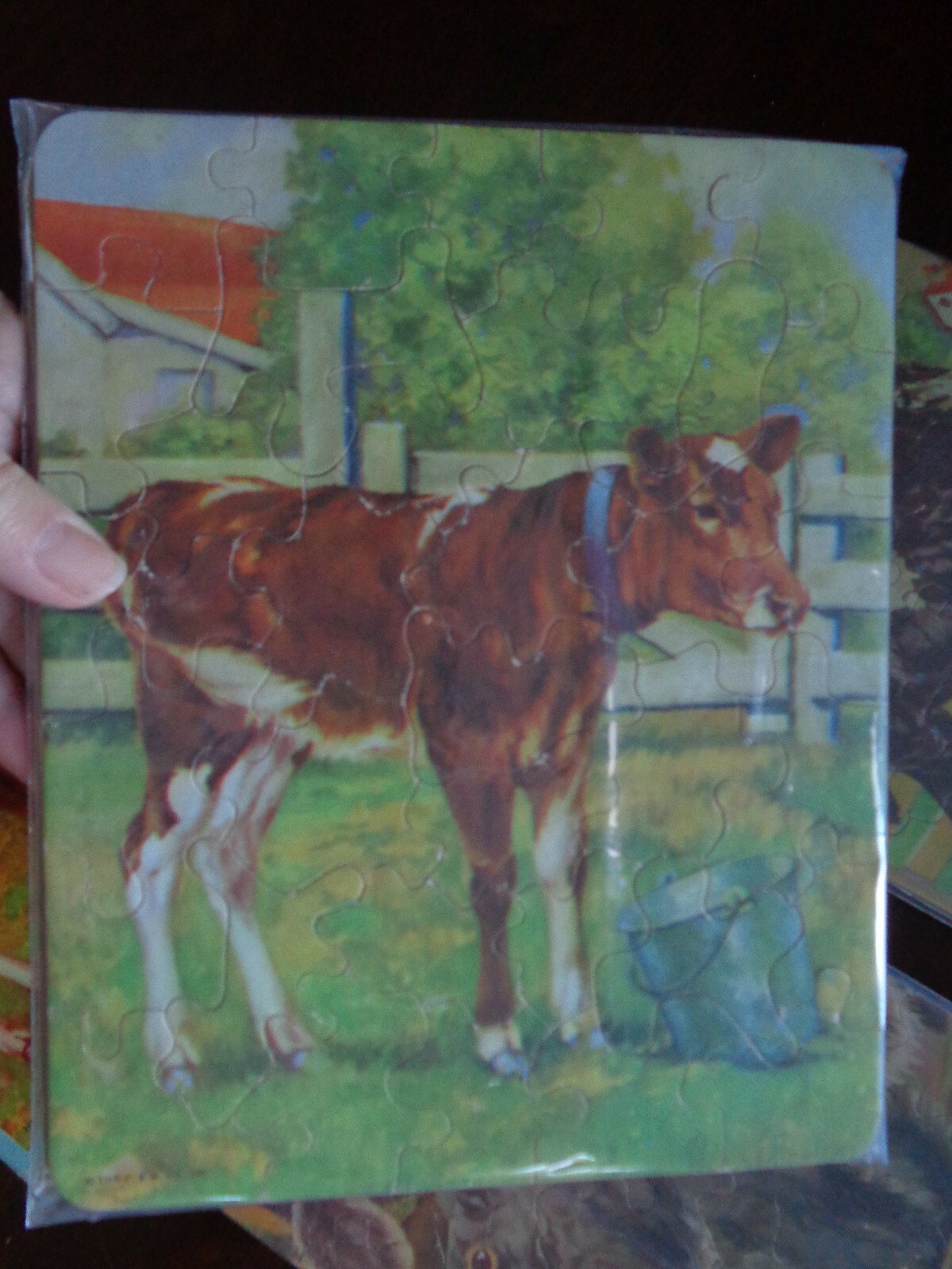 Picture 2 of 7
