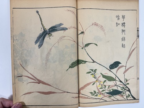 Japanese Woodblock Print Book “Kaishien Sochukakafu” all 4volume 芥子園画伝 - Picture 17 of 24