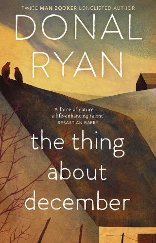 Thumbnail - Donal Ryan The Thing About December (taschenbuch)