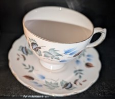 Vintage Colclough Bone China Tea Cup & Saucer Excellent Condition Linden Design