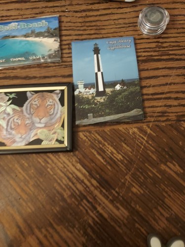 Lot Vintage Refrigerator Magnets Travel Tourism Destinations 11 Total - Picture 9 of 9