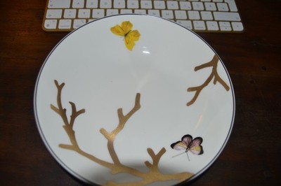 BERNARDAUD AUX OISEAUX Calotte Coupe Soup NEU!