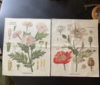 Picture 2 of 20