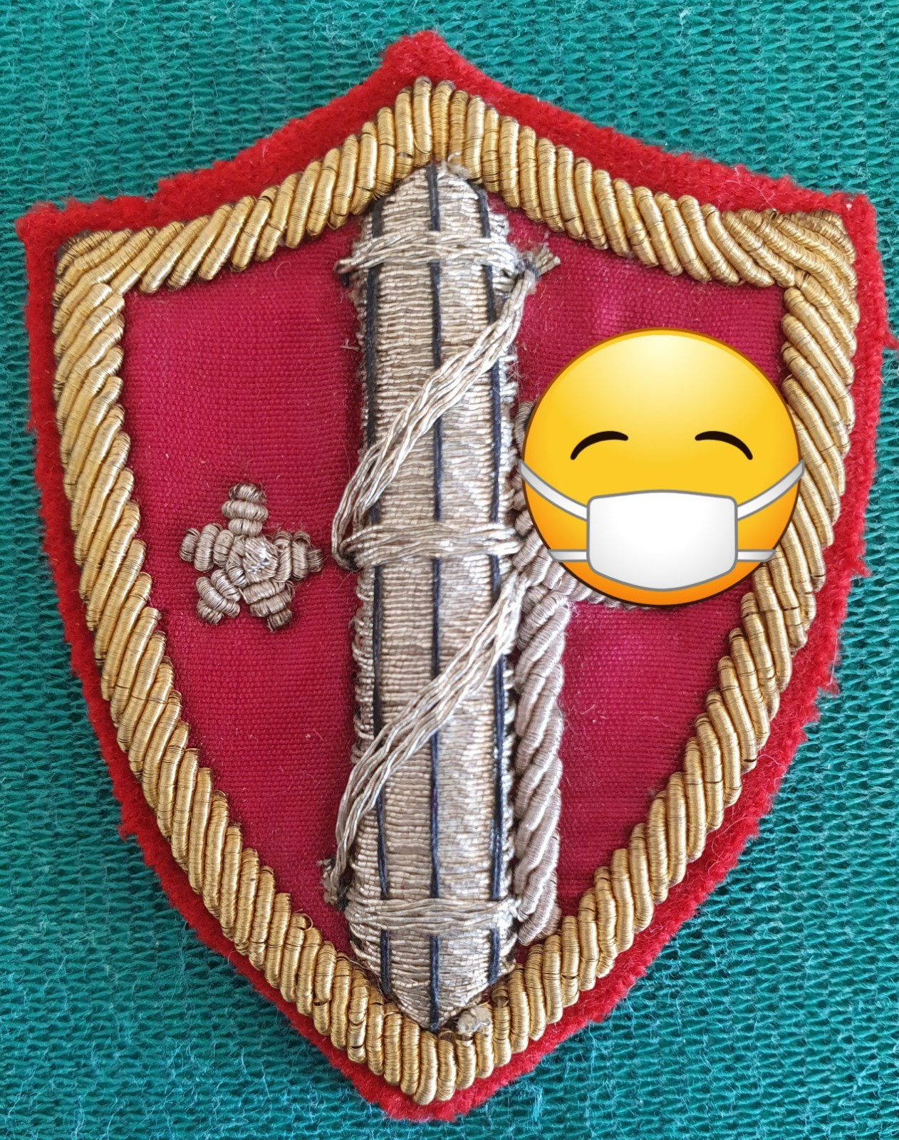 Fregio da petto pnf sahariana orbace ww2