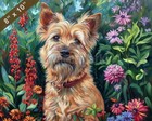 Australian Terrier painting in a cozy garden 8x10 Print