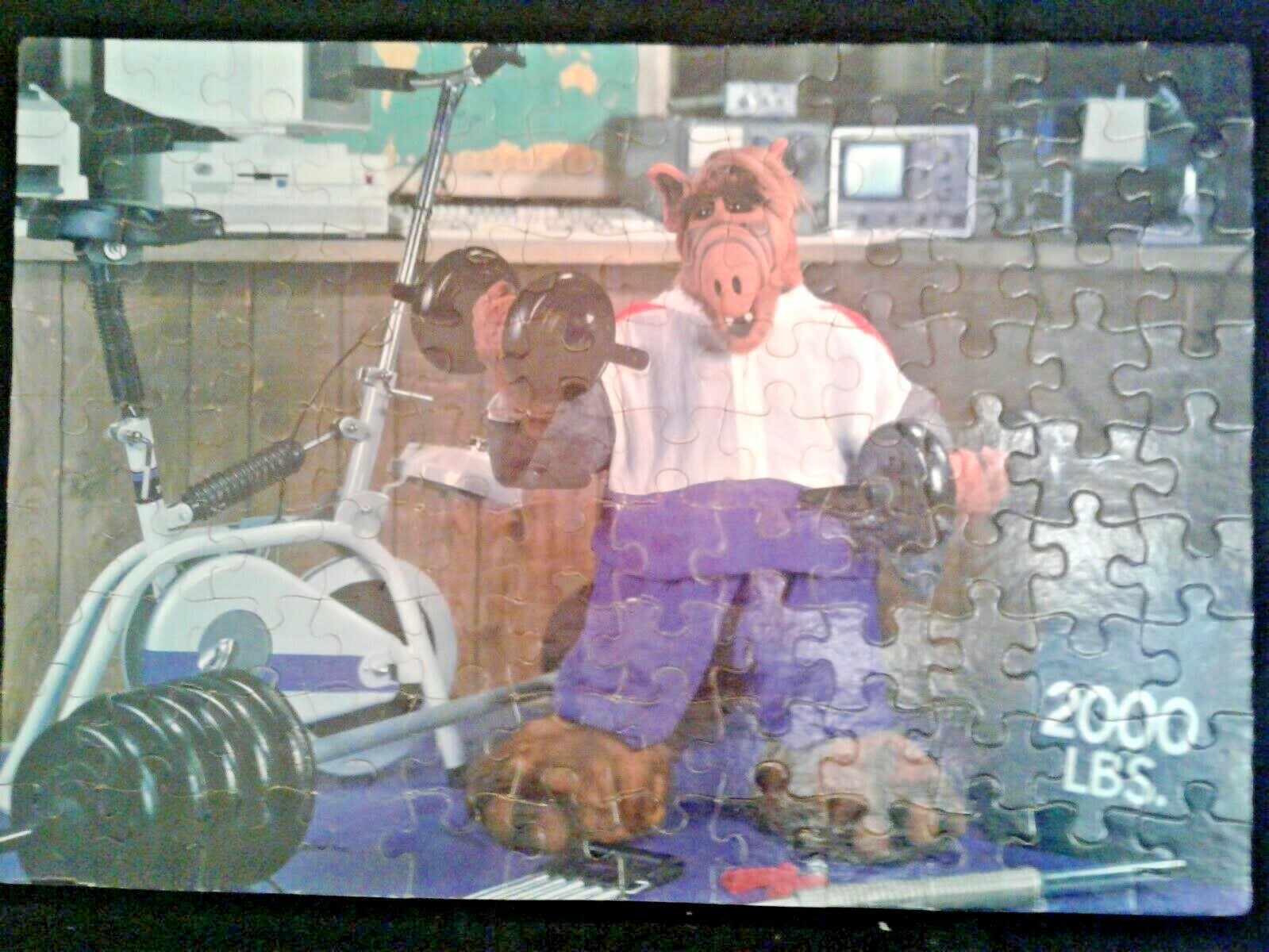 Bild 10 von 12