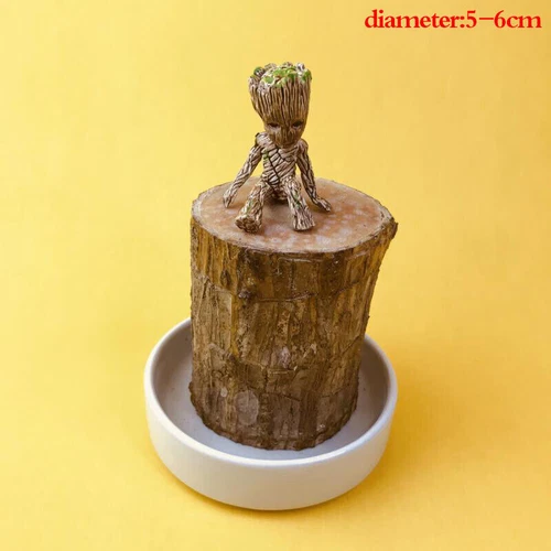 Groot Green Plant Brazilian Wood Water Raise Lucky Wood Potted Small Tree Peo UK - Picture 14 of 19