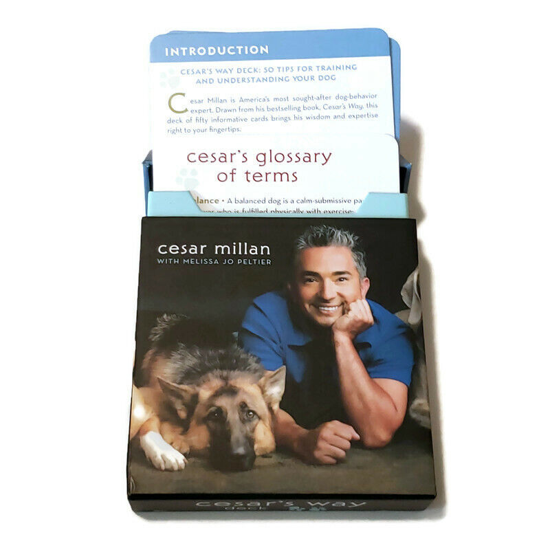 Cesar Millan's Expert Guide: Introducing a New Puppy to Your Dog