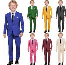 Boys Suit Wedding Ring Bearer Formal Blazer Pants Graduation Tuxedo Two Pieces