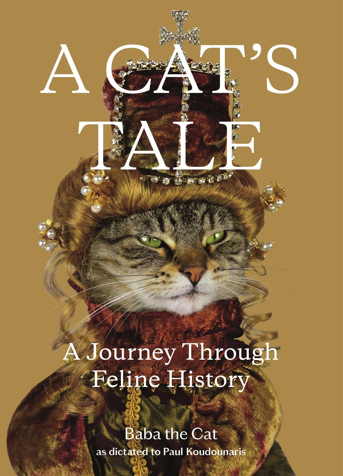 Thumbnail - Paul Koudounaris (u. A.) | A Cat's Tale | Buch | Englisch (2020) |
