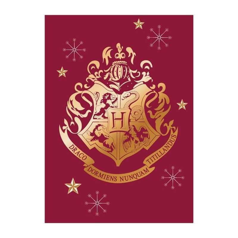 Harry Potter Fleece Blanket 100 x 140 cm (Harry Potter Fleece Throw)