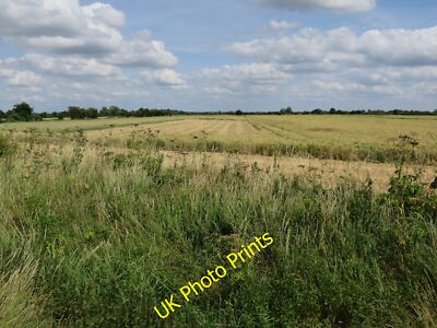 Photo 12x8 Patchy wheat field The Hermitage A few fields in the area had p c2015