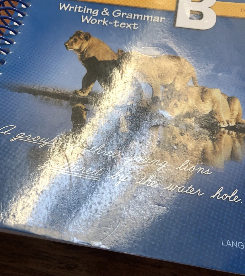 Abeka Gods Gift of Language B Third Edition Teacher Edition - Image 3 of 4