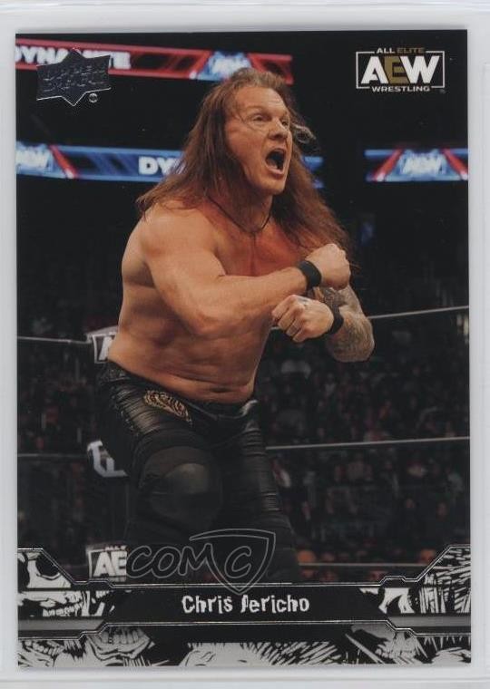 2023 Upper Deck AEW All Elite Wrestling Photo Variants Chris Jericho #59 2y5