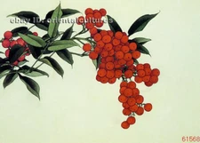 Chinese 100% real natural silk thread,su hand embroidery kits:fruit 11"