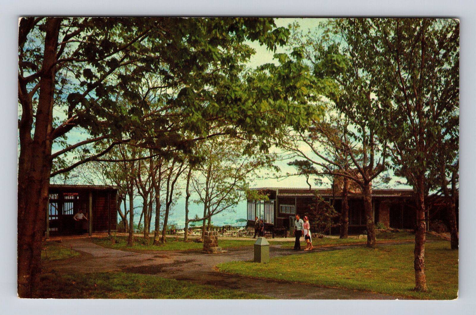 Shenandoah National Park, Skyland Dining Room, Antique Vintage Souvenir Postcard
