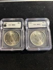 1923-1924 Silver Peace Dollars ICG Ms63-64