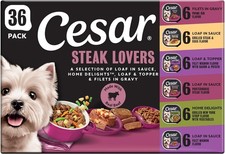 Cesar Adult Wet Dog Food Steak Lovers Variety Pack with Real Meat 3.5oz 36 Count