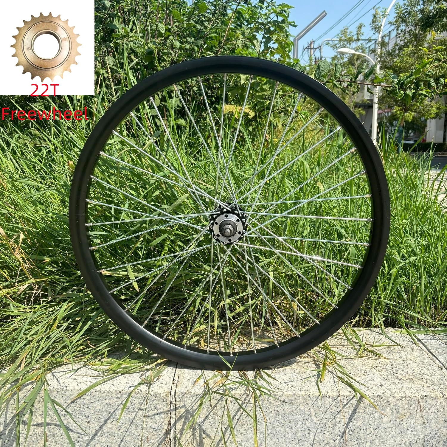26" Double Wall Aluminum Bike Rear Wheel 10G 36S Heavy Duty Rim & 22T Freewheel