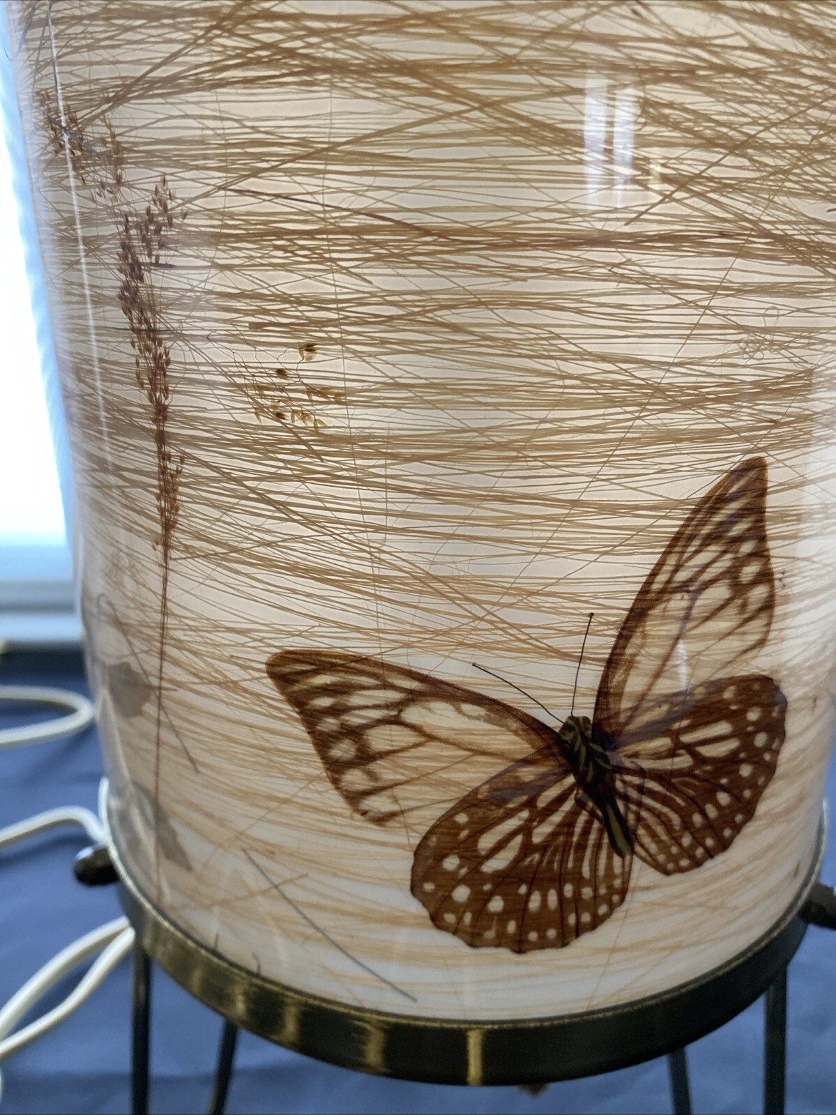Picture 3 of 11