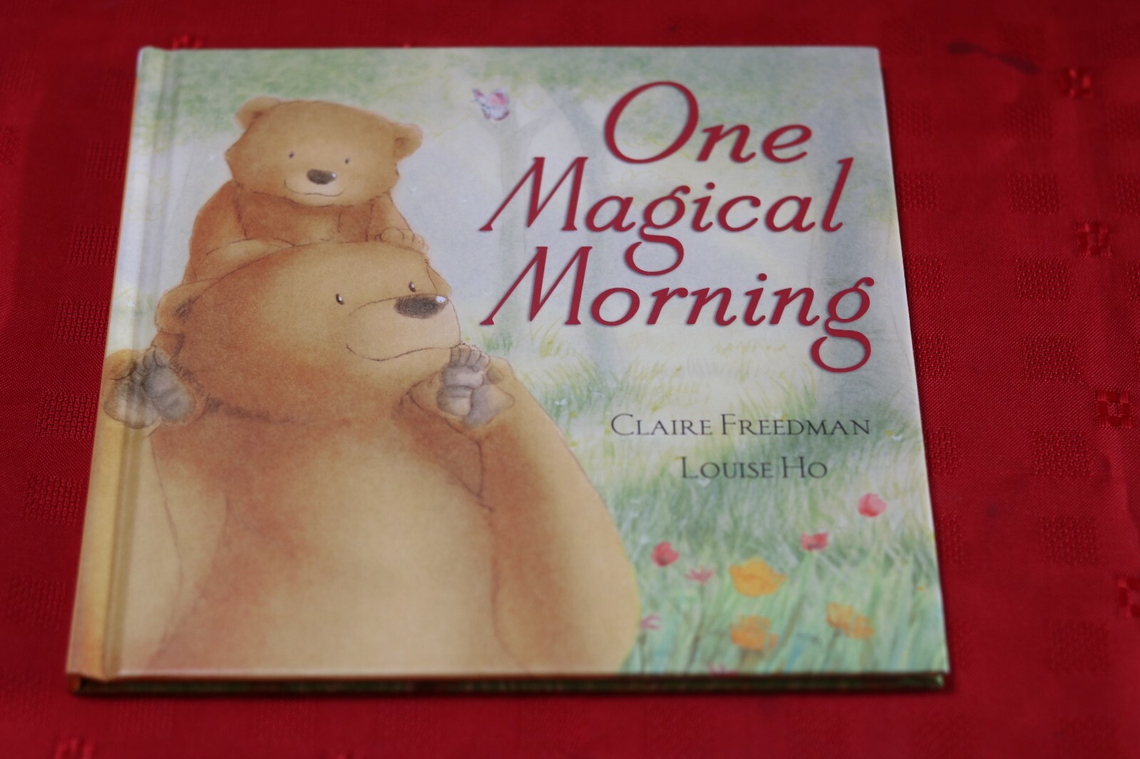 One Magical Morning - Claire Freedman - Hardback - VGC