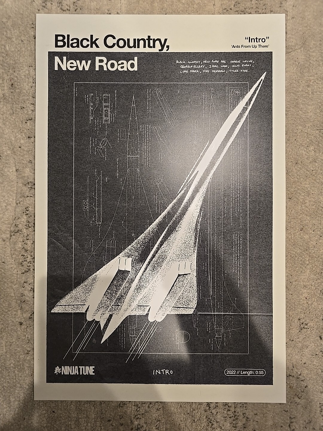 Intro Song Poster (Ninja Tune)