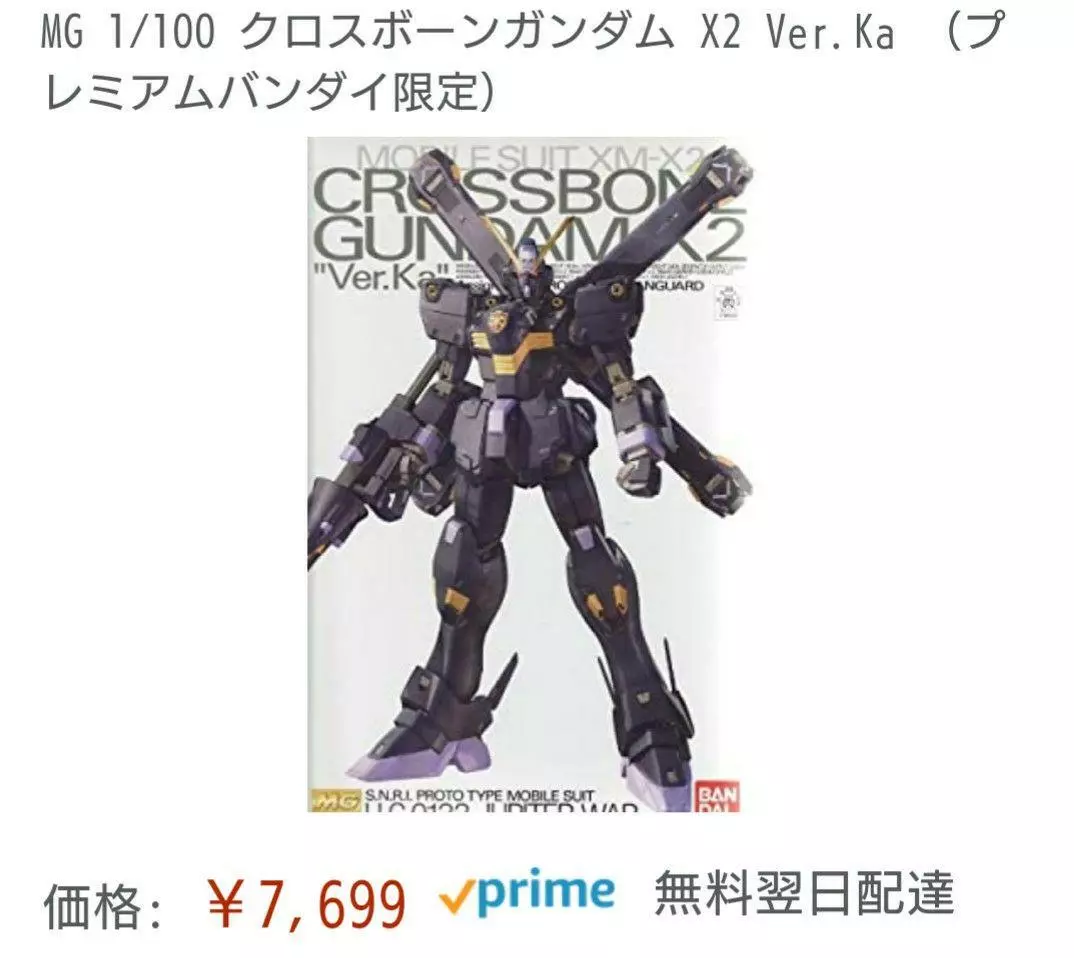 Mint Pleban 1/100 Crossbone Gundam X2 Ver.Ka Mg | eBay