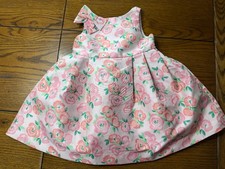 NWT Janie and Jack Enchanted Valley Blush Pink Floral Jacquard Dress 6-12 Months