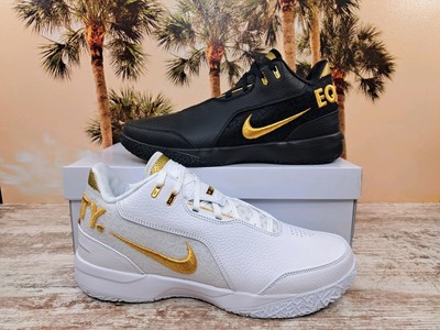 Nike Zoom LeBron NXXT Gen Ampd 