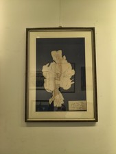 Andrea Raccagni collage su materiale plastico