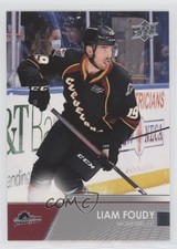 2021-22 Upper Deck AHL Liam Foudy #78 bi1