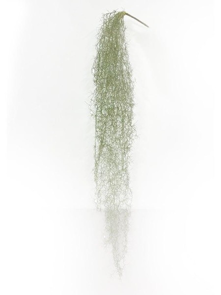 Artplants Kunstpflanzee Tillandsia Usneoides Bravik, Steckstab, Grau, 150Cm-image