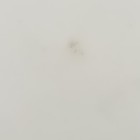 Bild 7 von 10