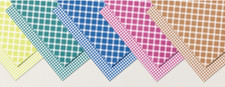 Stampin Up Retired GLORIOUS GINGHAM 6 x 6 Designer Series Paper 40 Sheets NEW