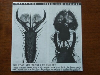 HALO OF FLIES -RUBBER ROOM REVISITED- 7'' RARE AMPHETAMINE REPTILE RECORDS!