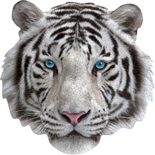 Madd Capp Mini Puzzle – I AM White Tiger (300pc)